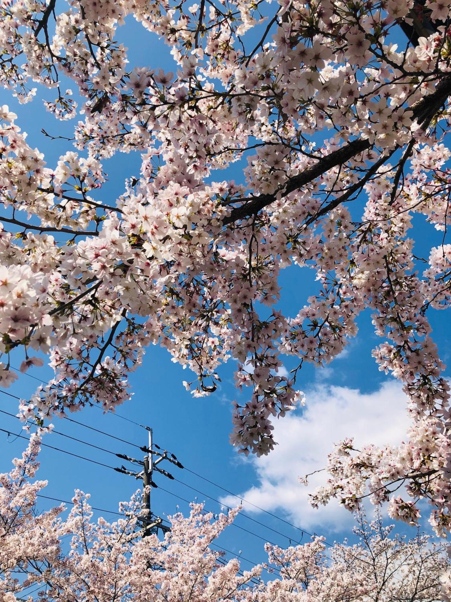 Tsubame-Ya Otel Kyoto Dış mekan fotoğraf