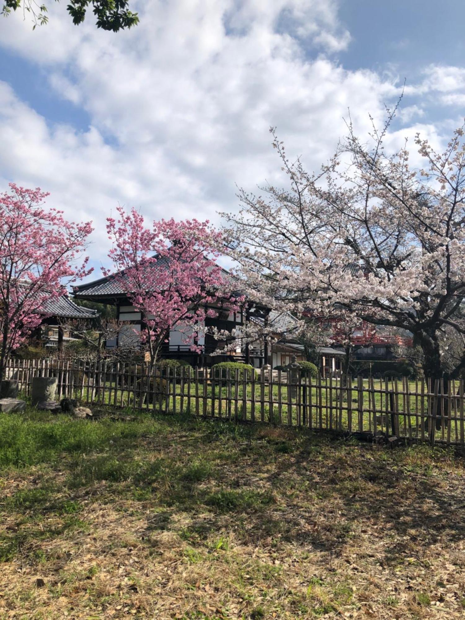 Tsubame-Ya Otel Kyoto Dış mekan fotoğraf
