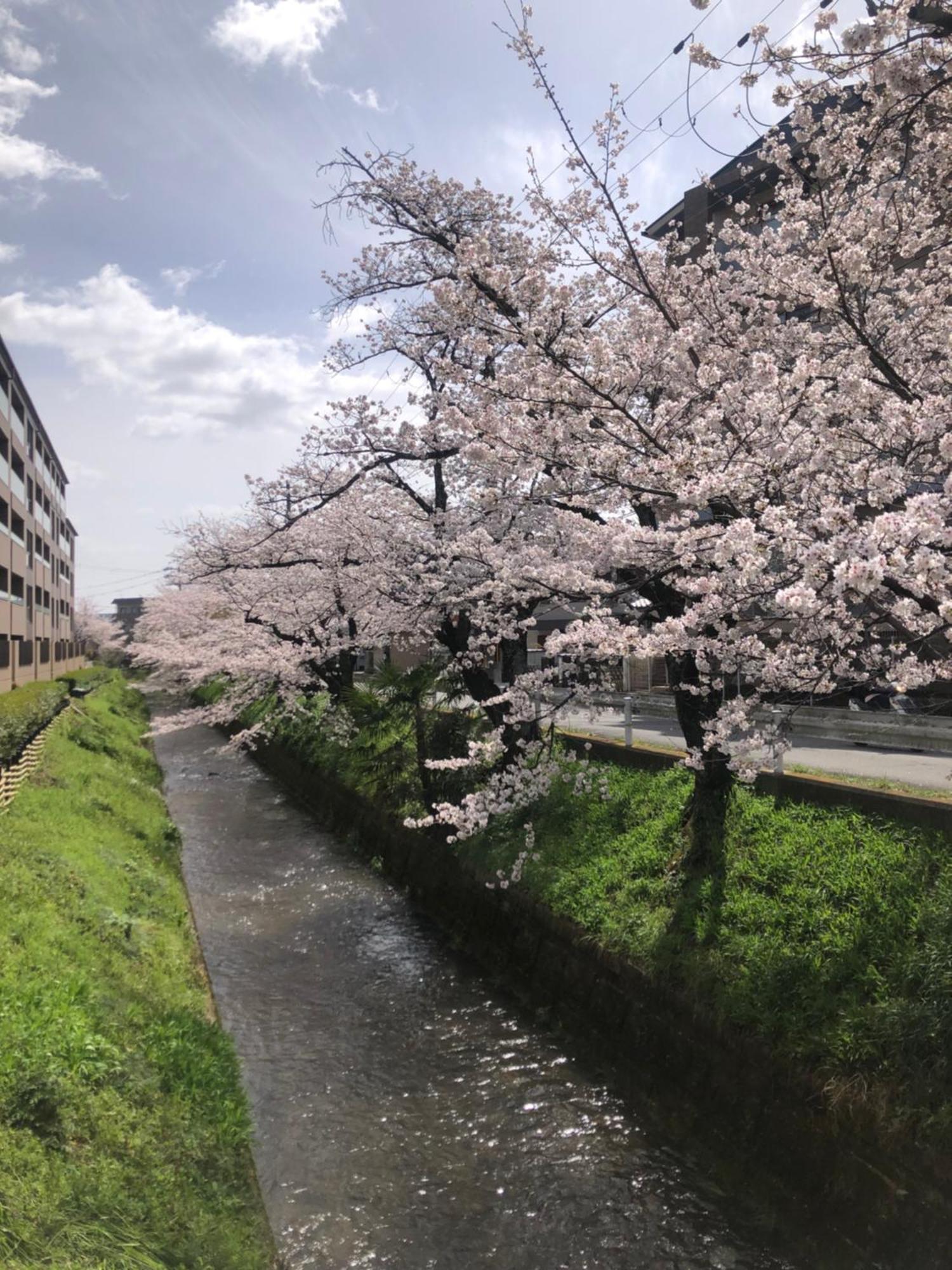 Tsubame-Ya Otel Kyoto Dış mekan fotoğraf